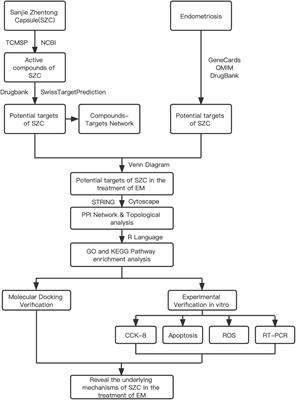 Network pharmacology and experimental validation to explore the potential mechanism of Sanjie Zhentong Capsule in endometriosis treatment